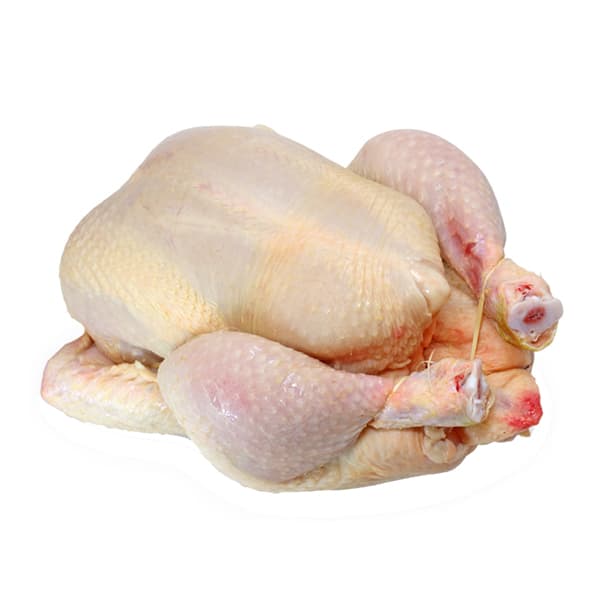 Poulet